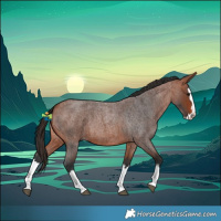 Horse Color:Bay Roan Splash