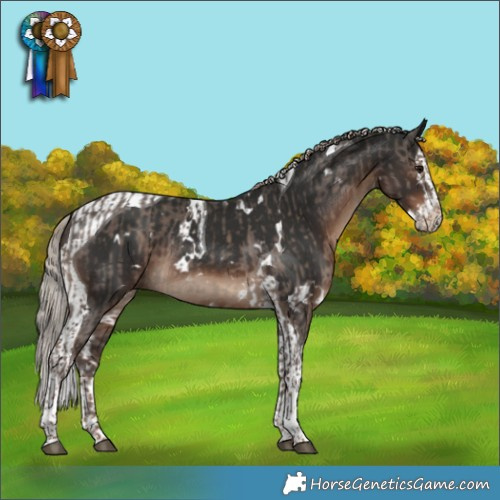 Horse Color:Silver Black Tobiano Rabicano  and White Spotted Liver Chestnut Splash Tobiano Rabicano 