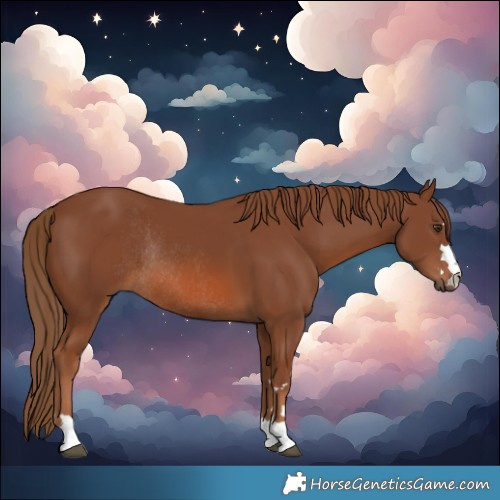 Horse Color:Chestnut Rabicano 