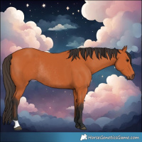 Horse Color:Bay Rabicano 