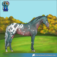 Horse Color:Watercolor White Spotted Silver Brown Blanket Rabicano