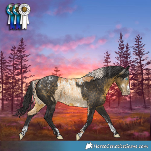 Horse Color:Powder White Gray White Spotted Cremello Dun Varnish Brindle and Powder White Buckskin Varnish