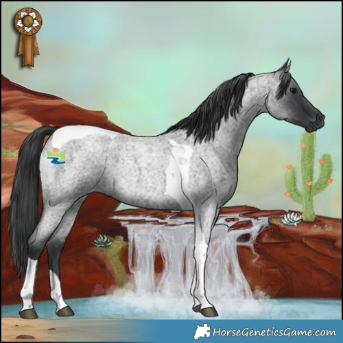 Horse Color:Blue Roan Tobiano 