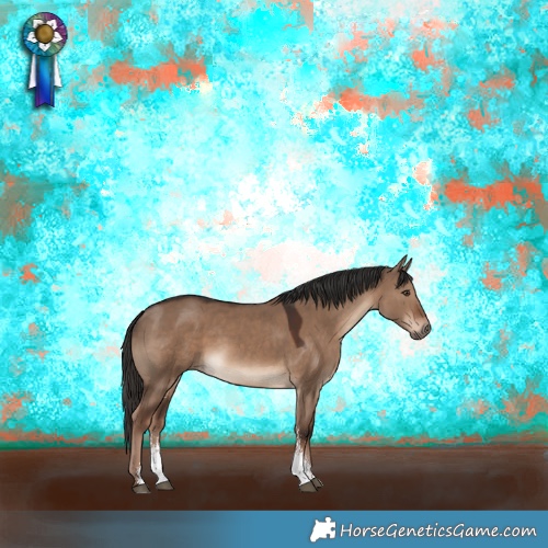 Horse Color:Liver Red Dun Sabino 
