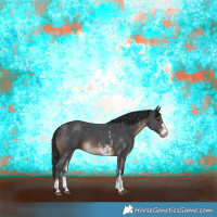 Horse Color:Brown Sabino 