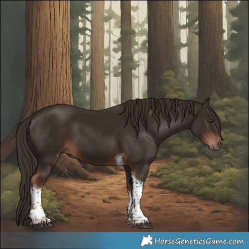 Horse Color:Liver Chestnut Tobiano
