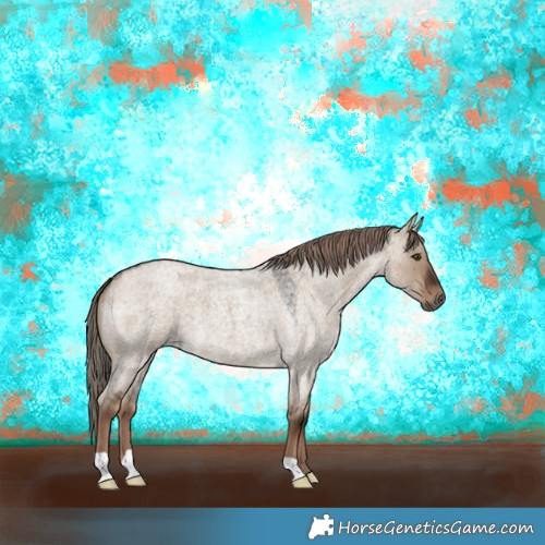 Horse Color:Liver Red Dun Roan