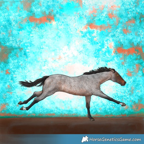 Horse Color:Brown Roan