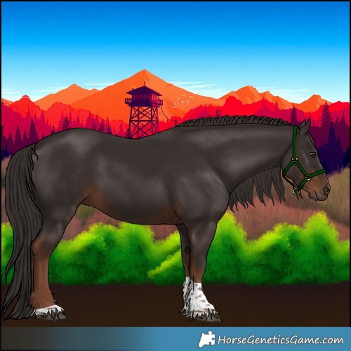 Horse Color:Liver Chestnut Tobiano