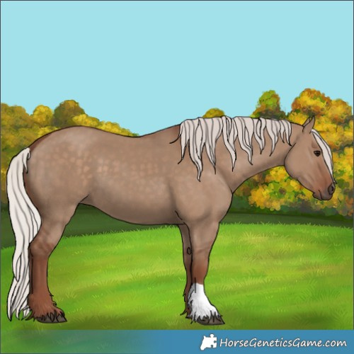 Horse Color:Silver Grullo