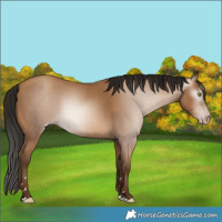 Horse Color:Gray Amber Champagne