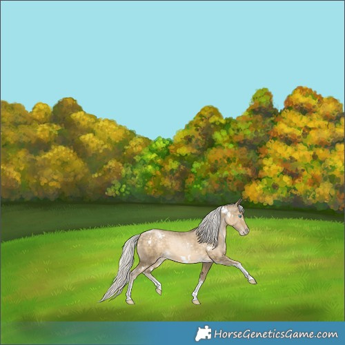 Horse Color:White Spotted Silver Buckskin Pearl Tobiano 