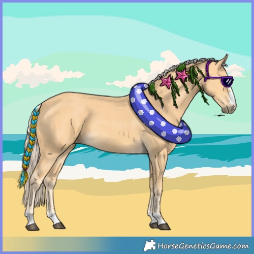 Horse Color:Palomino 