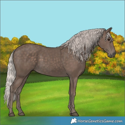 Horse Color:Silver Black 