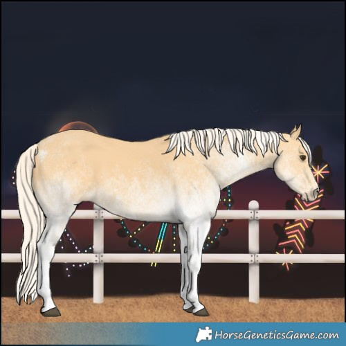 Horse Color:White Spotted Palomino 