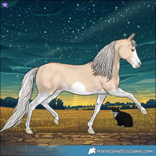 Horse Color:Silver Classic Champagne Dun Splash Frame 