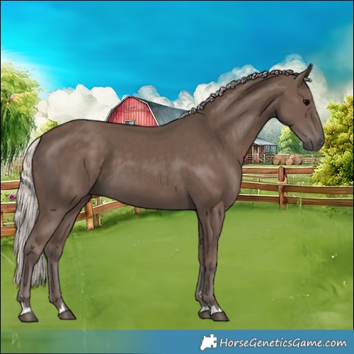 Horse Color:Silver Black 