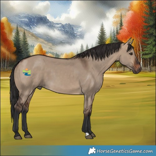 Horse Color:Brown Dun