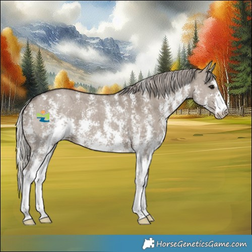 Horse Color:Silver Grullo Sabino 