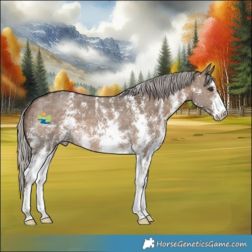 Horse Color:Silver Brown Dun Sabino 