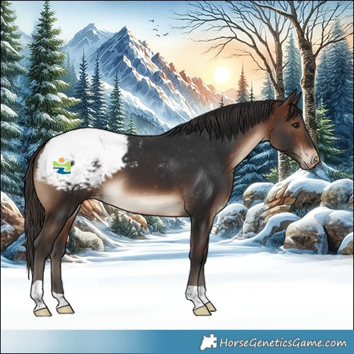 Horse Color:Brown Snowcap 
