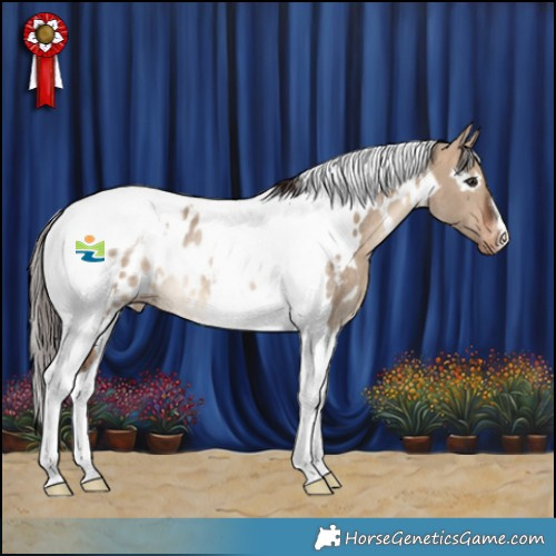 Horse Color:White Spotted Bay Dun Tobiano Appaloosa Rabicano