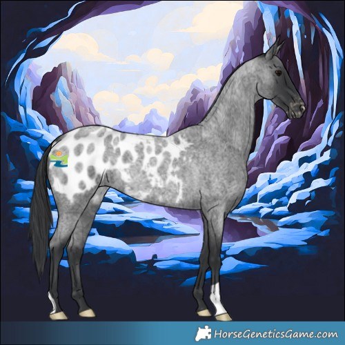 Horse Color:Blue Roan Blanket 