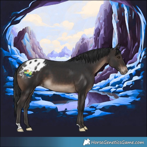 Horse Color:Brown Varnish