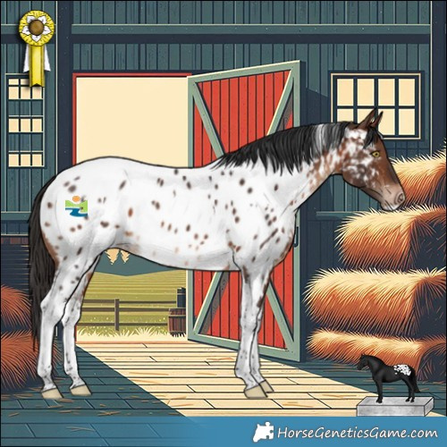 Horse Color:White Spotted Brown Tobiano Appaloosa Rabicano 