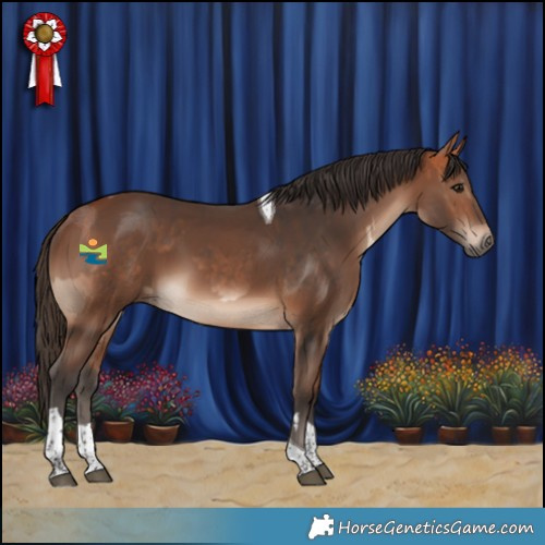 Horse Color:Bay Tobiano  and Brown Tobiano 