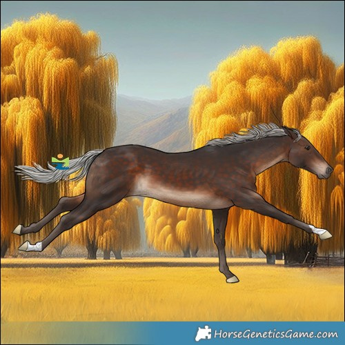 Horse Color:Silver Brown