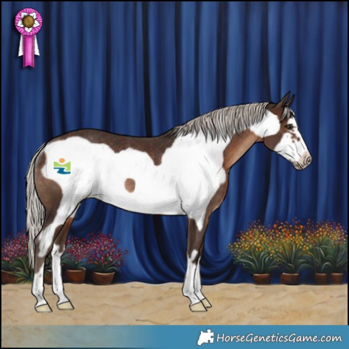 Horse Color:Silver Brown Frame Rabicano