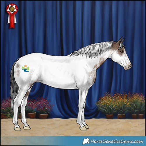Horse Color:White Spotted Brown Dun Tobiano Frame 