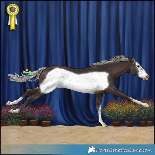 Horse Color:Silver Brown Frame 