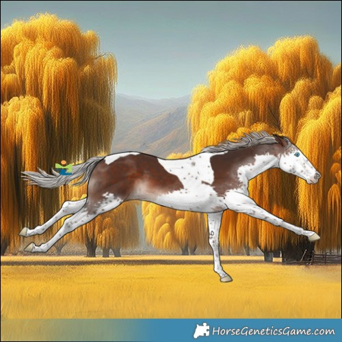 Horse Color:Silver Brown Splash Tobiano