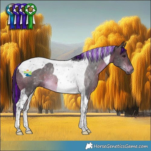 Horse Color:Painted Bay Tobiano Rabicano 