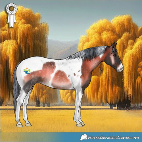 Horse Color:Painted Brown Onyx Tobiano Rabicano