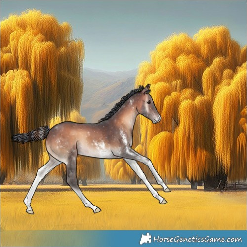 Horse Color:Painted Brown Onyx Sabino 