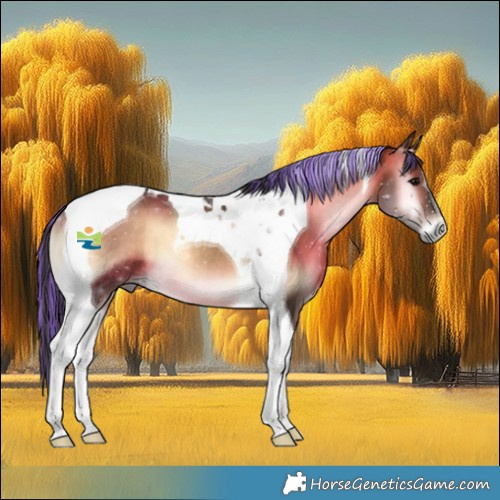 Horse Color:Painted Bay Onyx Tobiano