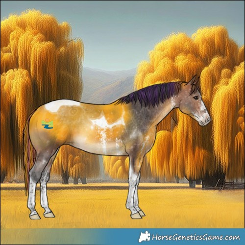 Horse Color:Painted Bay Sabino Tobiano Rabicano 