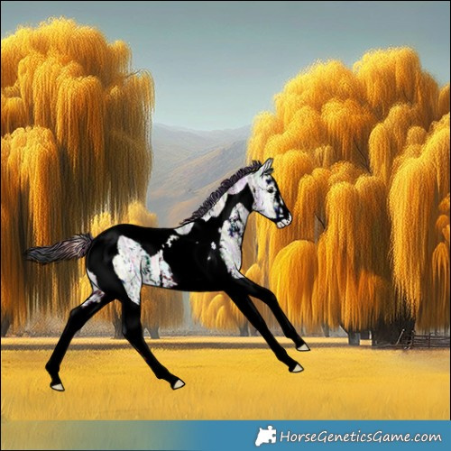 Horse Color:Nacre Brown Ice Onyx Sabino Tobiano Rabicano 