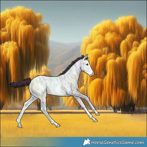 Horse Color:Nacre Brown Ice Sabino 