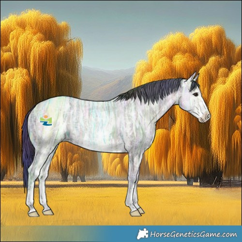 Horse Color:Nacre Brown Ice Sabino