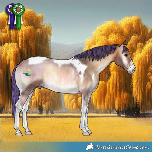 Horse Color:Painted Bay Onyx Sabino Tobiano Rabicano
