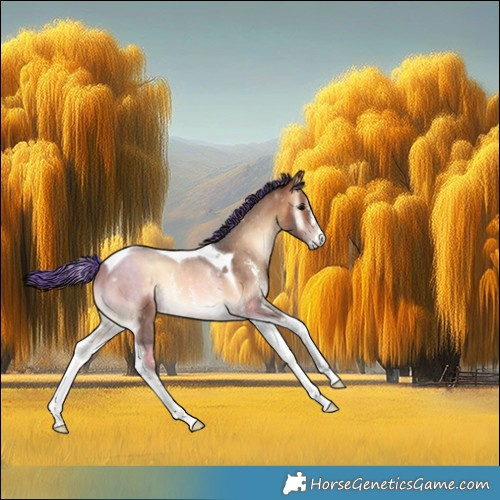 Horse Color:Painted Bay Onyx Sabino Tobiano Rabicano