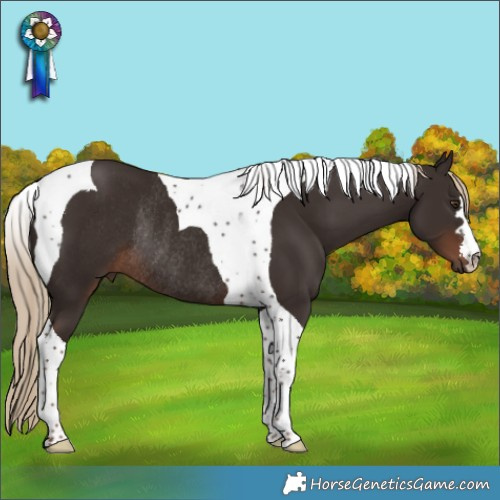 Horse Color:Liver Chestnut Tobiano Rabicano