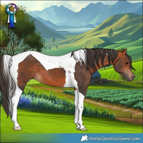Horse Color:Bay Tobiano