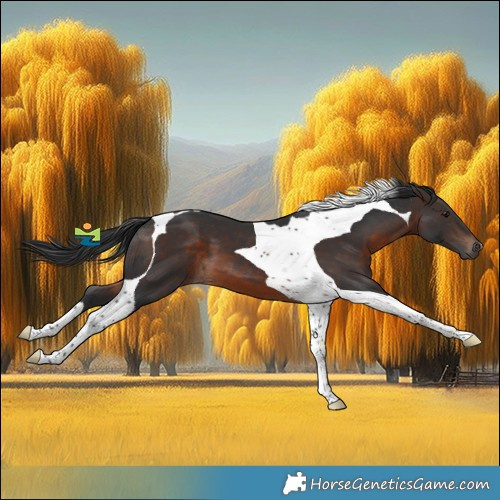 Horse Color:Brown Tobiano 