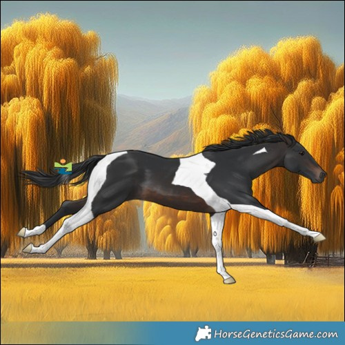 Horse Color:Brown Tobiano