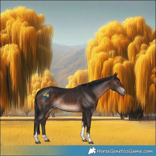 Horse Color:Bay Tobiano 
